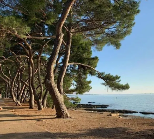 Excellent Studio Mia Umag